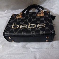 Purse ( bebe)