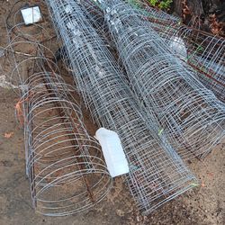 Tomato  Cages