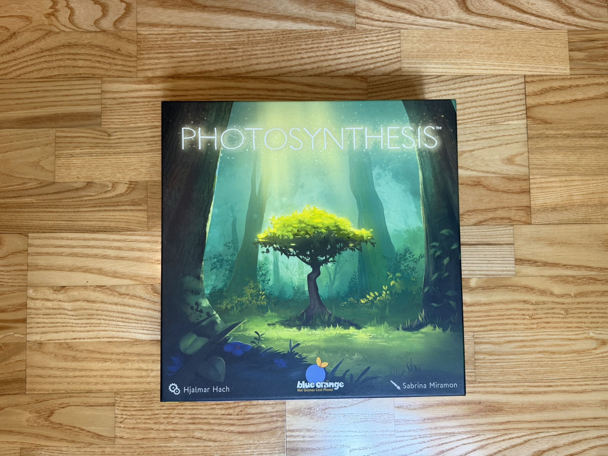 Photosynthesis Board Game