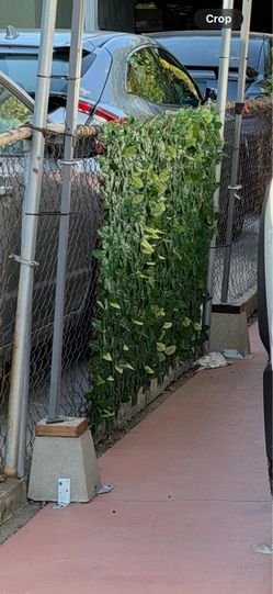 vigoro artificial leaf wal