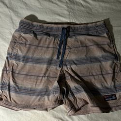 Patagonia Shorts 