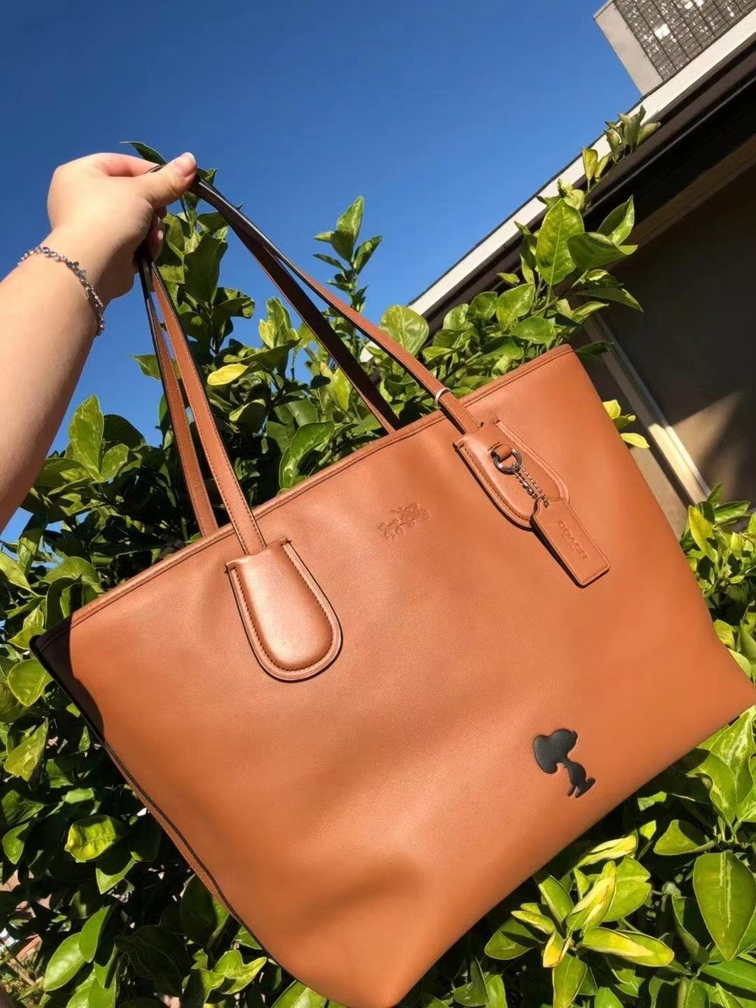 Coach Bag For Women