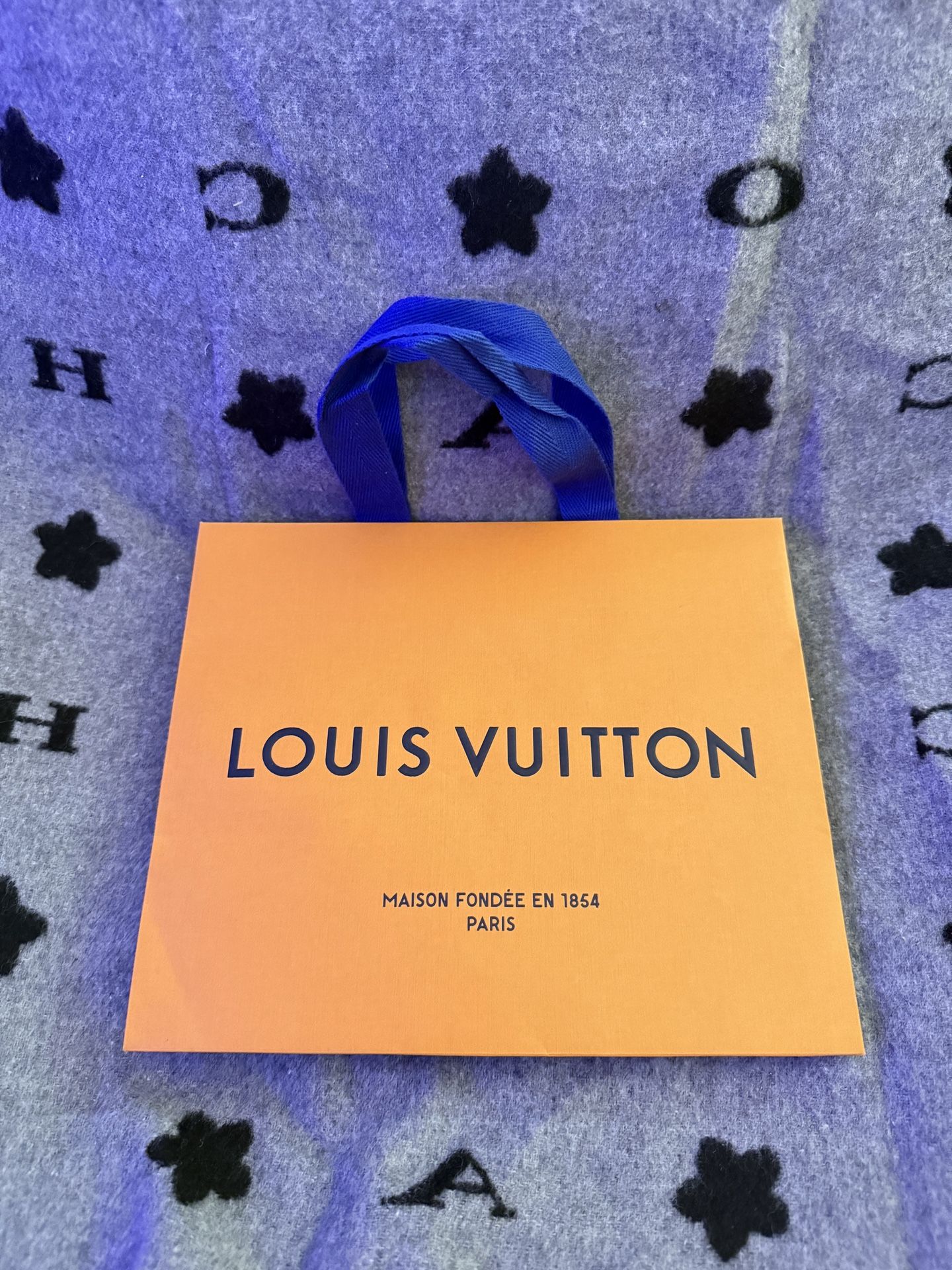 Louis Vuitton gift bag