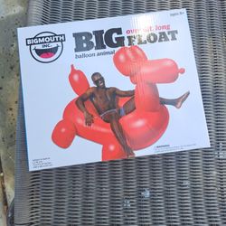 Large Floatie