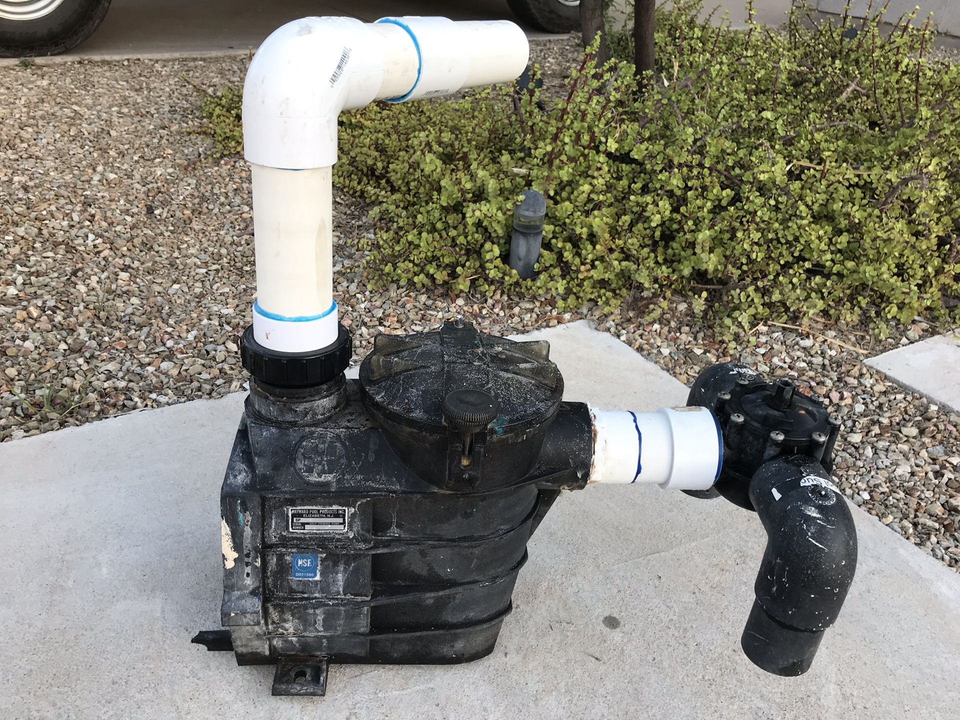 HAYWARD POOL PUMP HOUSING (MODEL SP3020) W/ BASKET INSIDE & SECURED LID