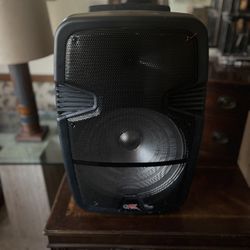 Bluetooth Pa Speaker 