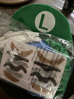 Adult Luigi Costume