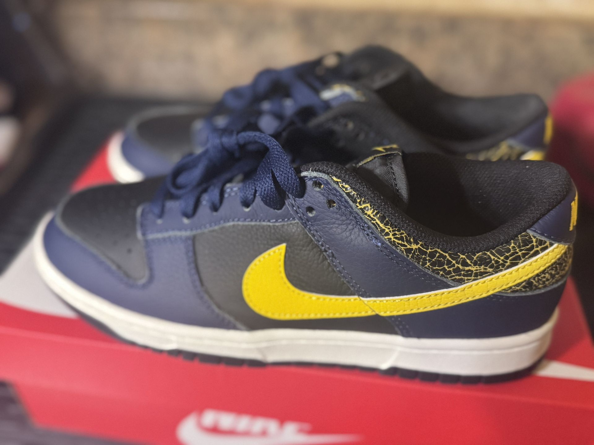 Michigan Blue Low Dunks 