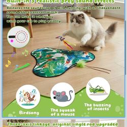 Cat Toy