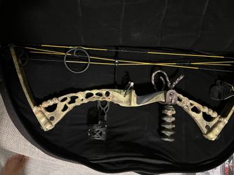 Bow Arrows Case
