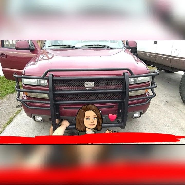 Ranch hand brush guard