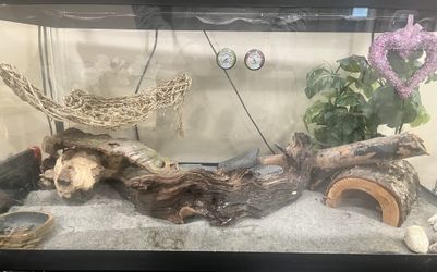 Terrarium