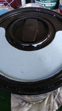 Satin interior paint new