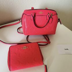 Coach Bag And Wallet Set