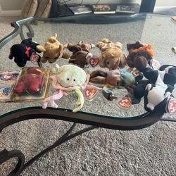 Ty Beanie Babies Collection