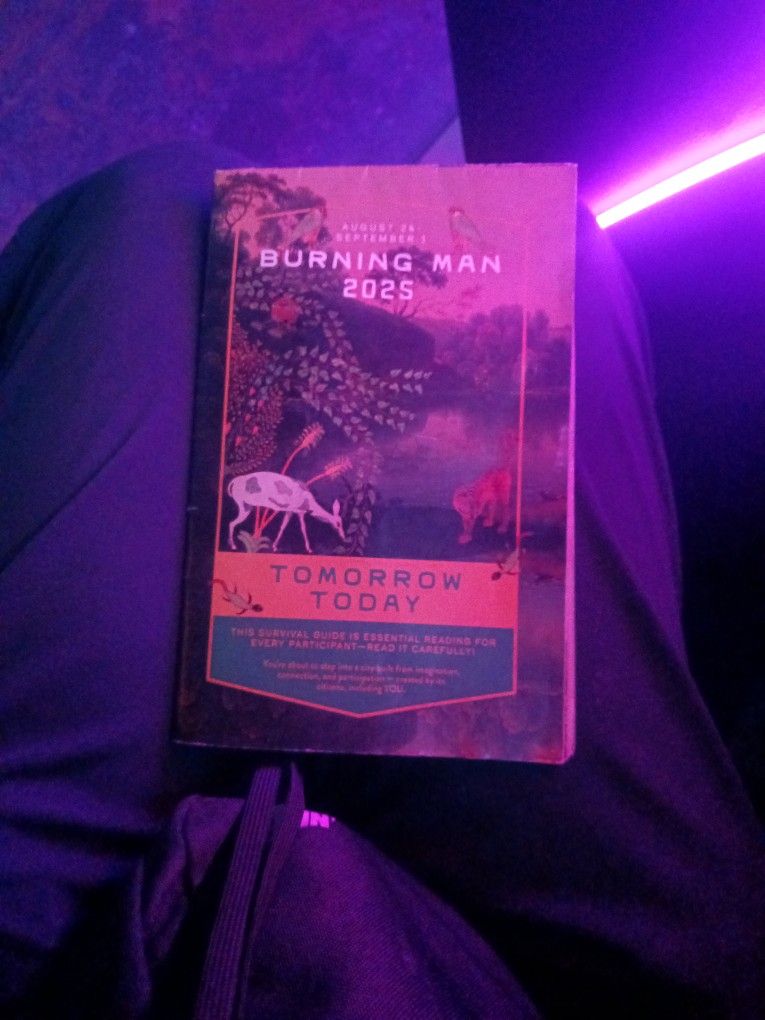 Burning Man Tickets ONE Left Low Price For A Lucky Person 