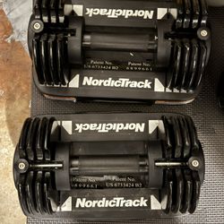 NordicTrack Set Of 2 25lb Adjustable Dumbbells 