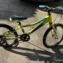 Kids Giant Bike