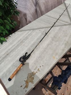 Quantum Lite Fishing Rod And Reel