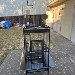 Bird Cage Jaula