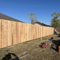 Fence / Cercas 