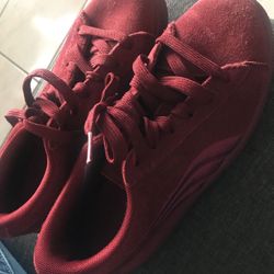 Pumas