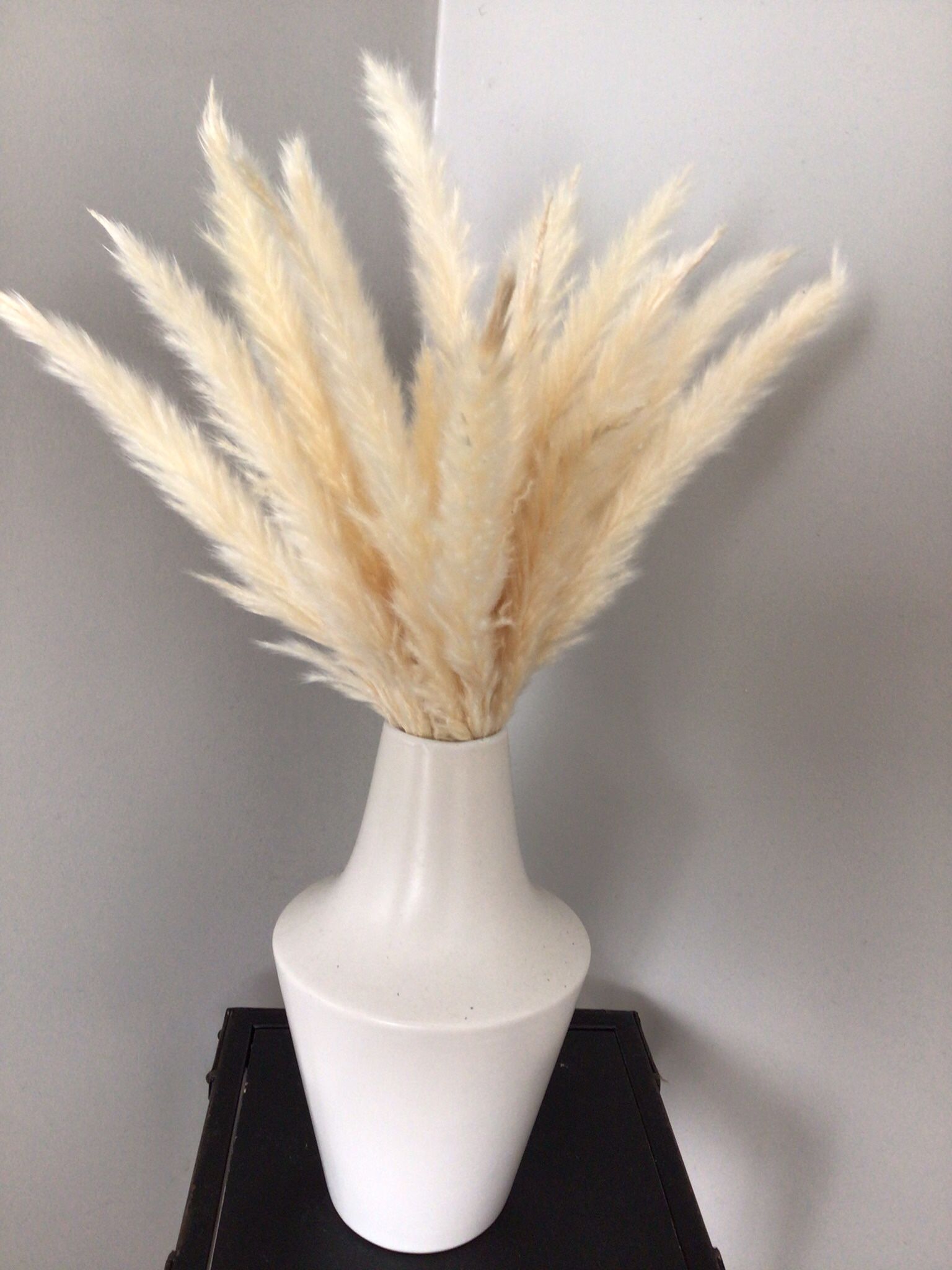 White Vase With Foliage