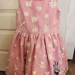 Disney Dress Size 5/6 - Pickup From Northridge Area