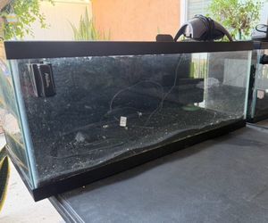 20 gallon aquarium