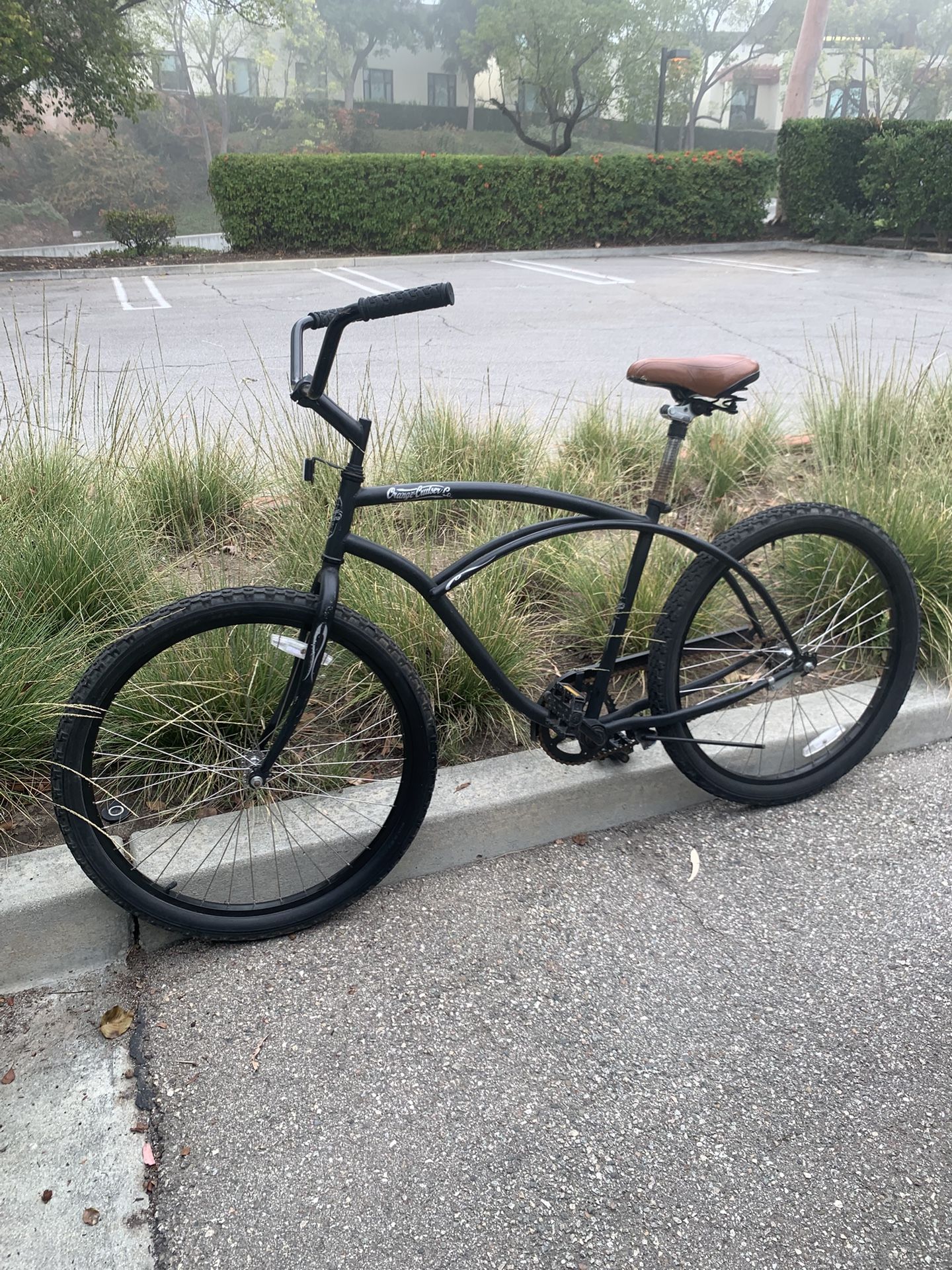 Black Cruiser Bike