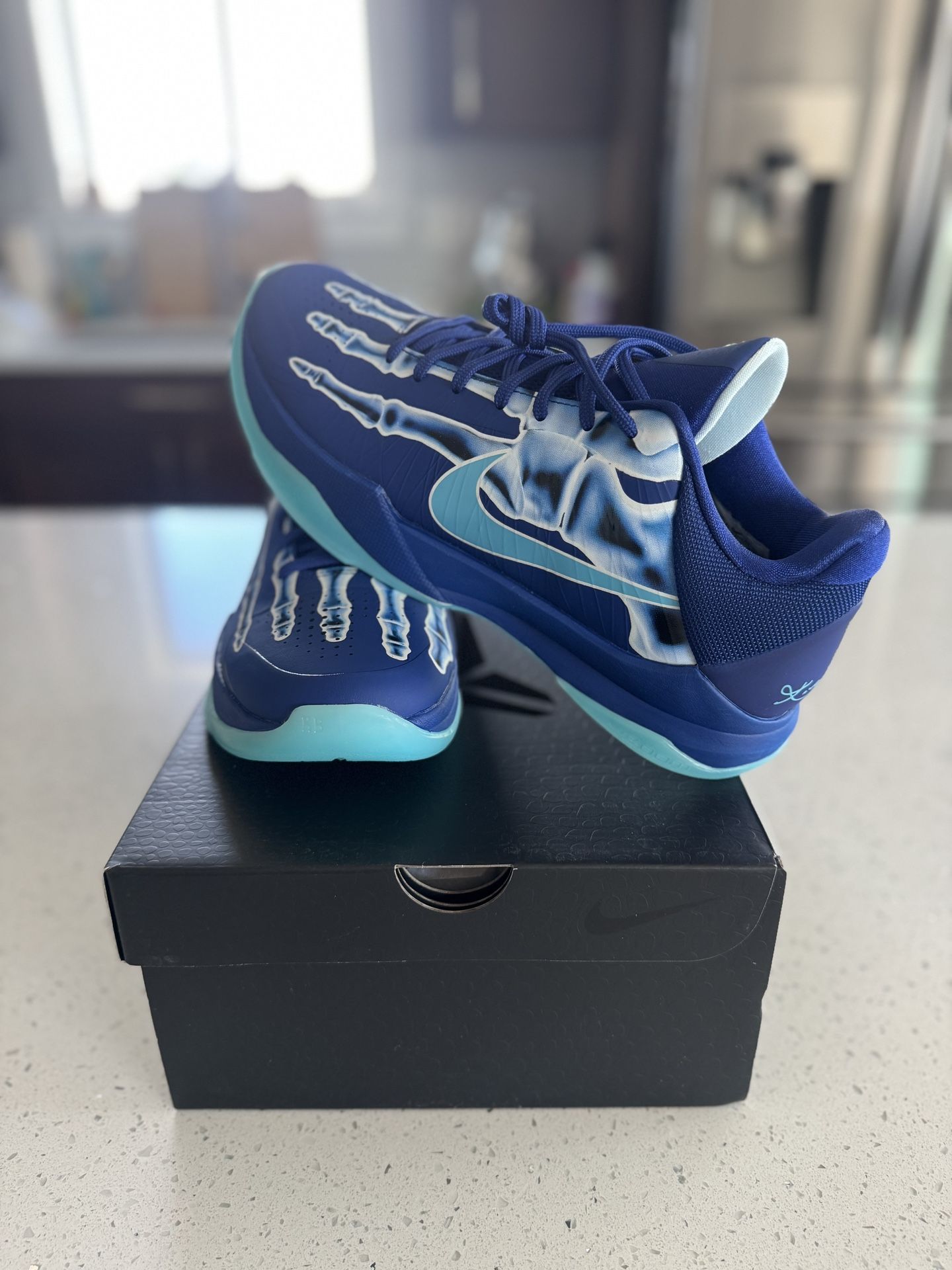 Zoom Kobe 5 Potro “X-Ray”
