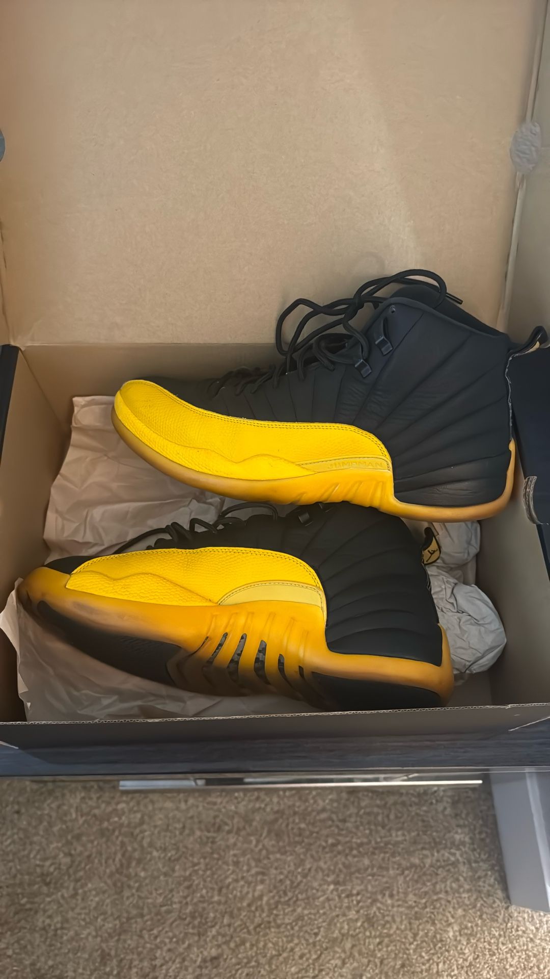 Air Jordan 12 Retro