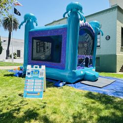 Full Business Of Jumpers For Sale 