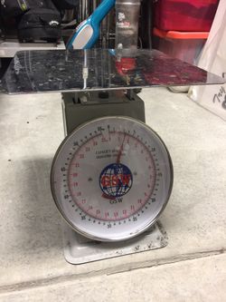 Scale 55lb