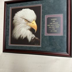 Framed Bald Eagle Photography / Leadership quote