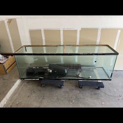 125 Gallon Tank With Filters