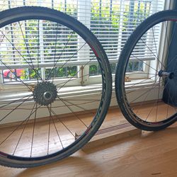 Fulcrum CEX 6.5 cyclocross wheels