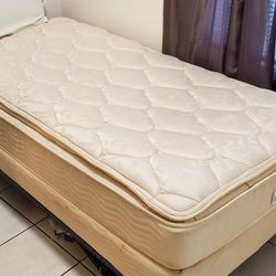 Twin mattress, box spring, and bed frame