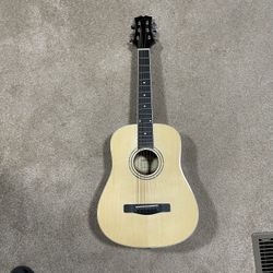 Michell Guitar / Model DJ-120/N REGULAR SIZE!!!