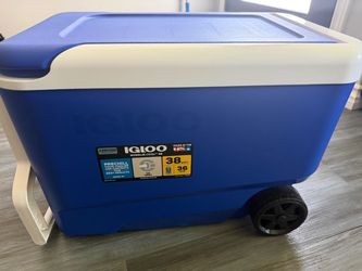 Igloo Wheelie Cool - 38 quarts