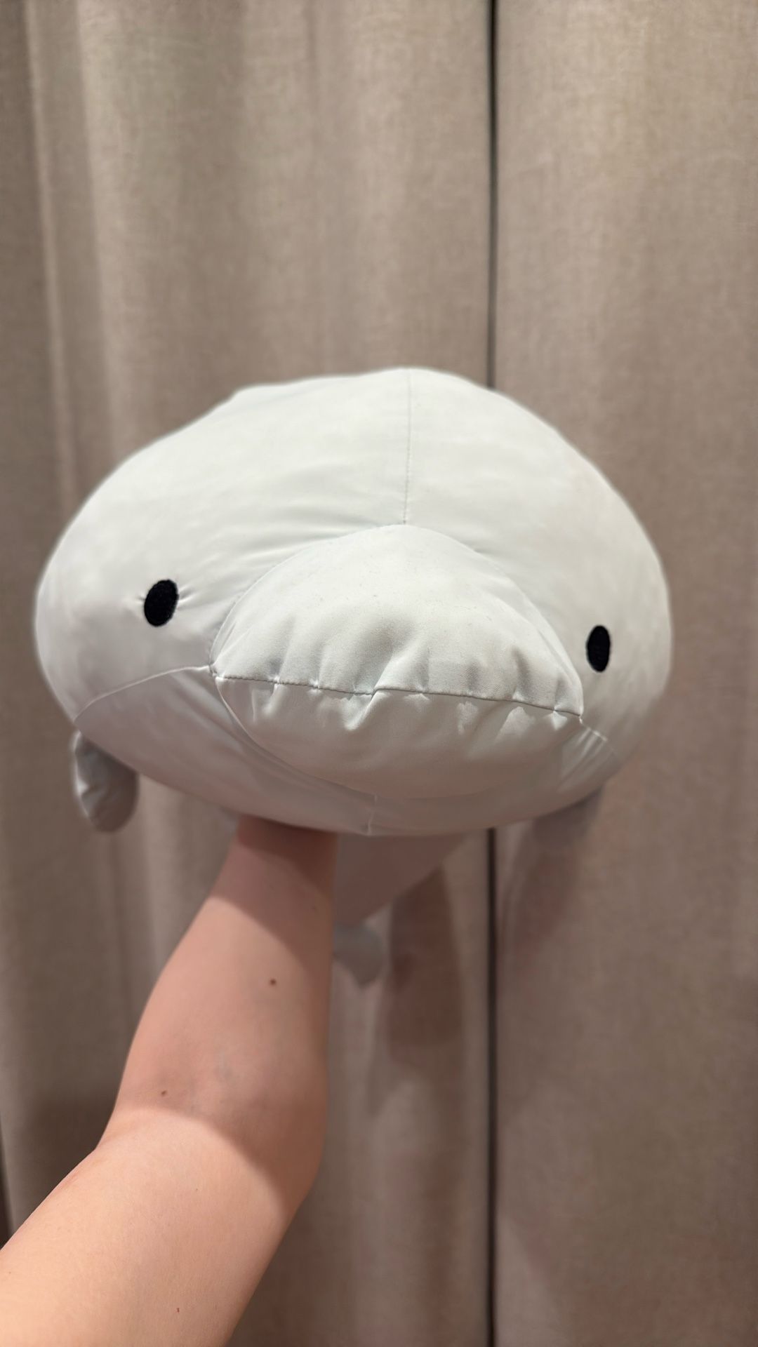 Large Soft Dolphin Plushie From Japan