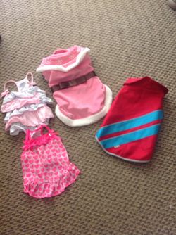 Dog clothes