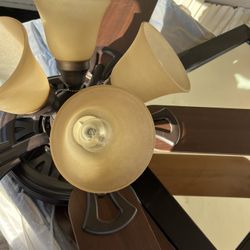 Dark Brown Fan