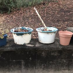 Flower Pots - All For $10