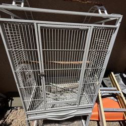  Bird Cage 
