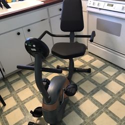 Recumbent Exercise Bike