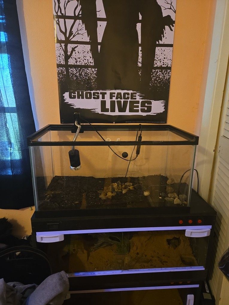 20 Gallon Reptile Tank