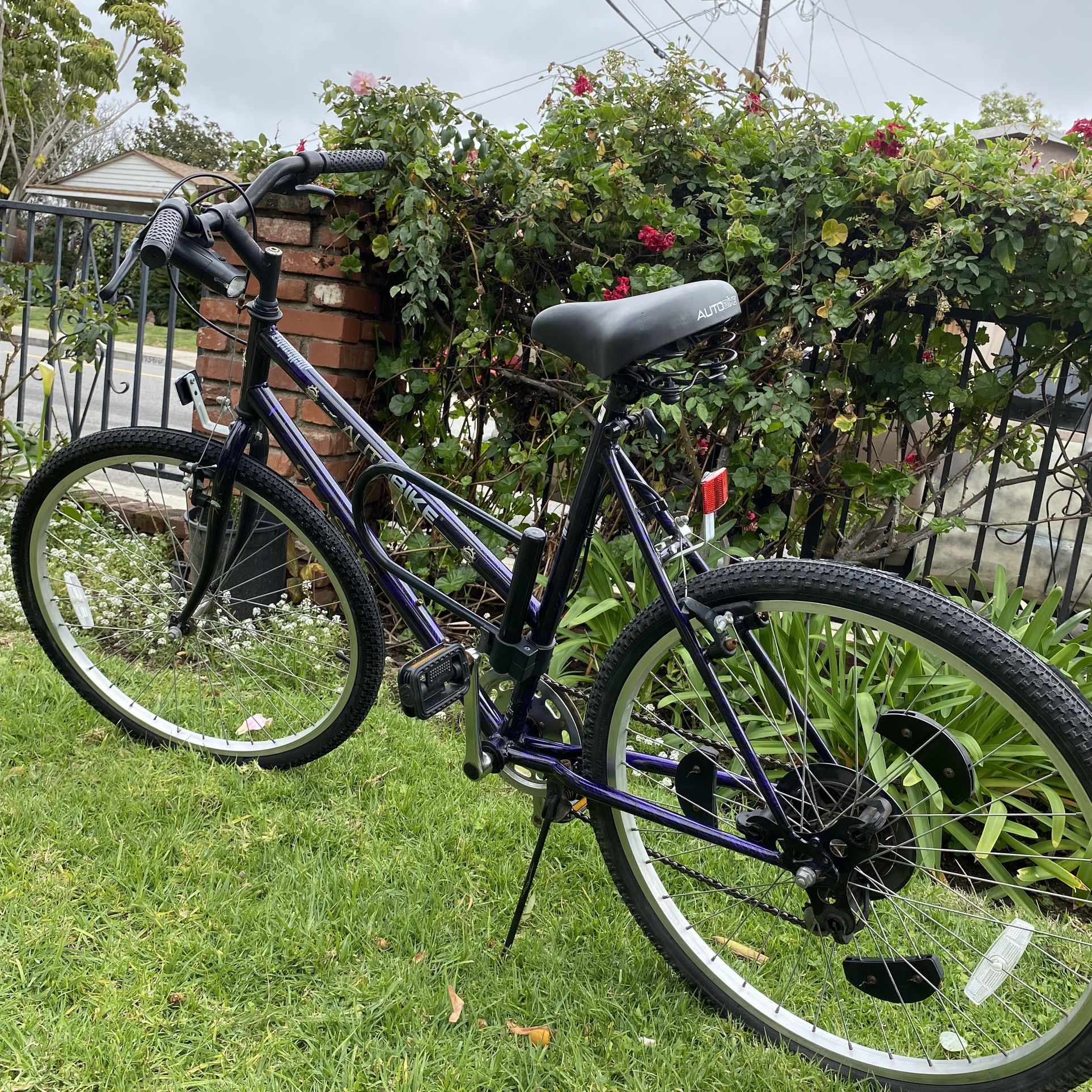 CSA B2200 Autobike 6 Speed Automatic Bicycle Woman Bicicleta Para Mujer Cambios Automáticos