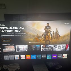 55” Vizio Smart TV – Works Perfect
