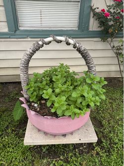 Peppermint- pink-painted tire planter